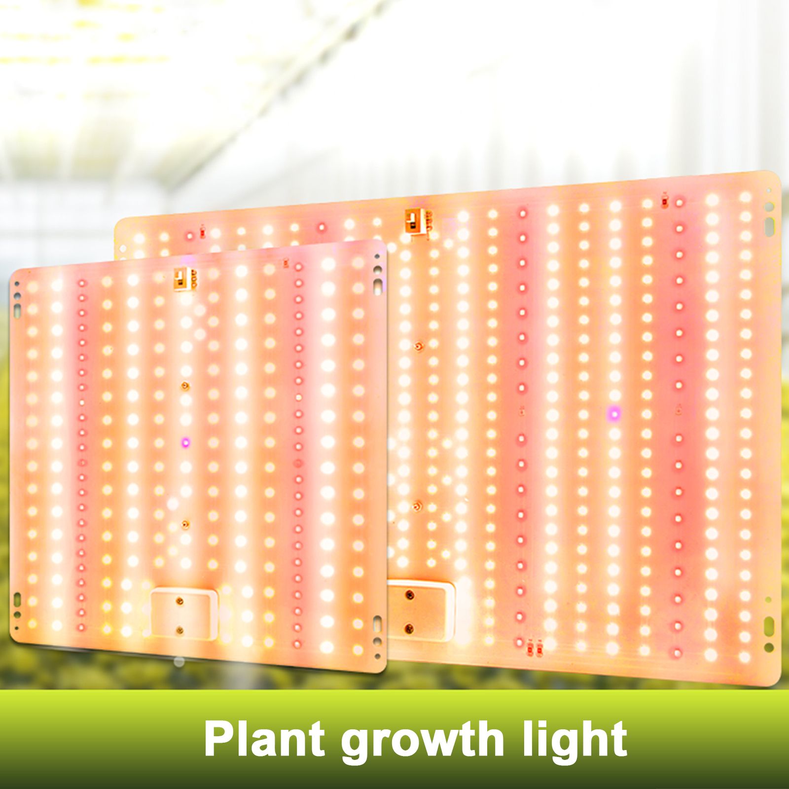 Full Spectrum LED Plant Grow Light Home Succulent Color Indoor Green Plant view 7