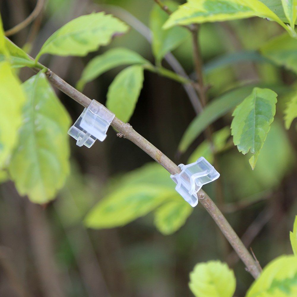 Special grafting clip Tomato seedling grafting clip Eggplant grafting clamp 100pcs view 7