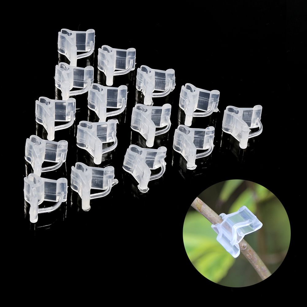 Special grafting clip Tomato seedling grafting clip Eggplant grafting clamp 100pcs view 11