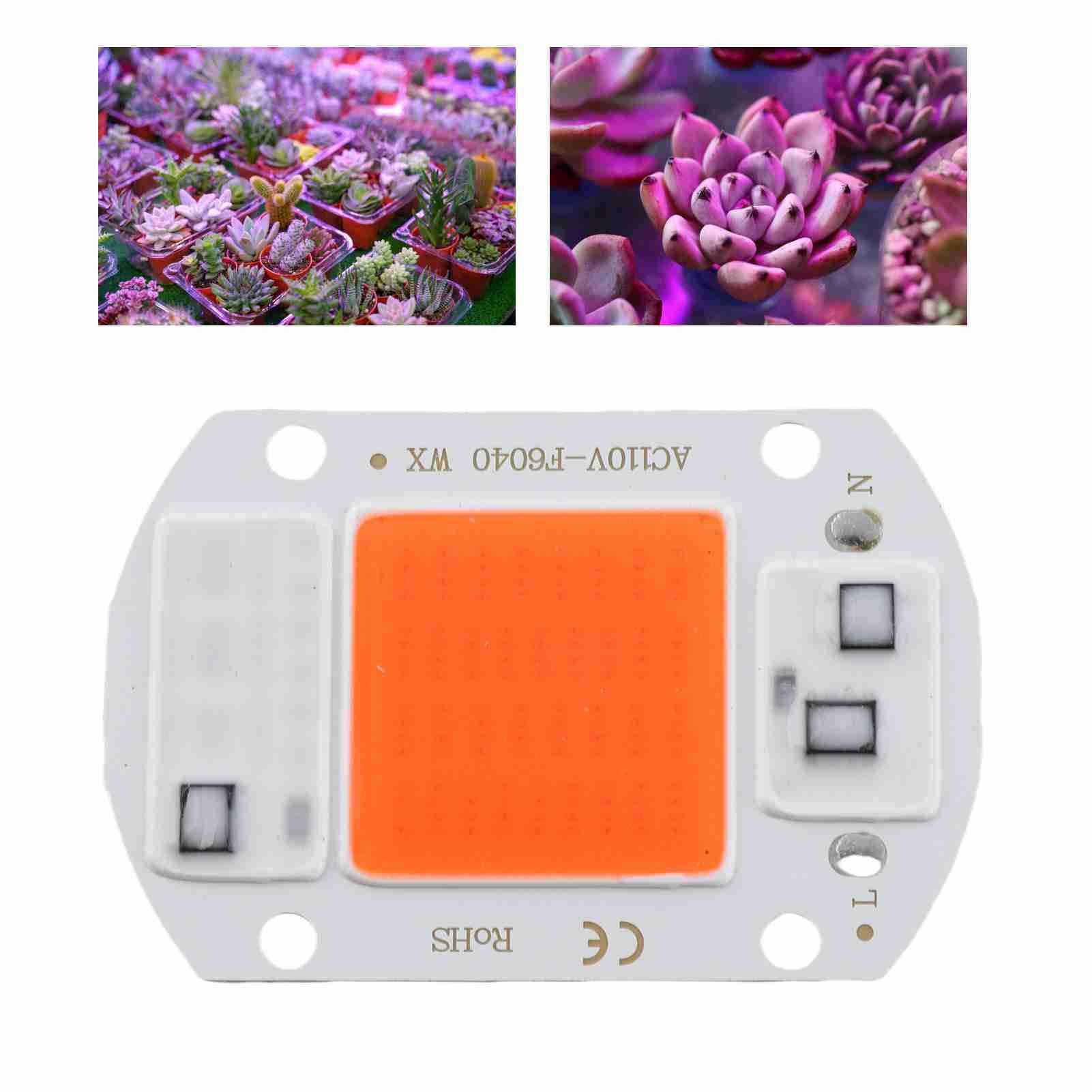 LED Chip Full Spectrum Plant Grow Light COB Bead Lamp for Greenery Plant view 11