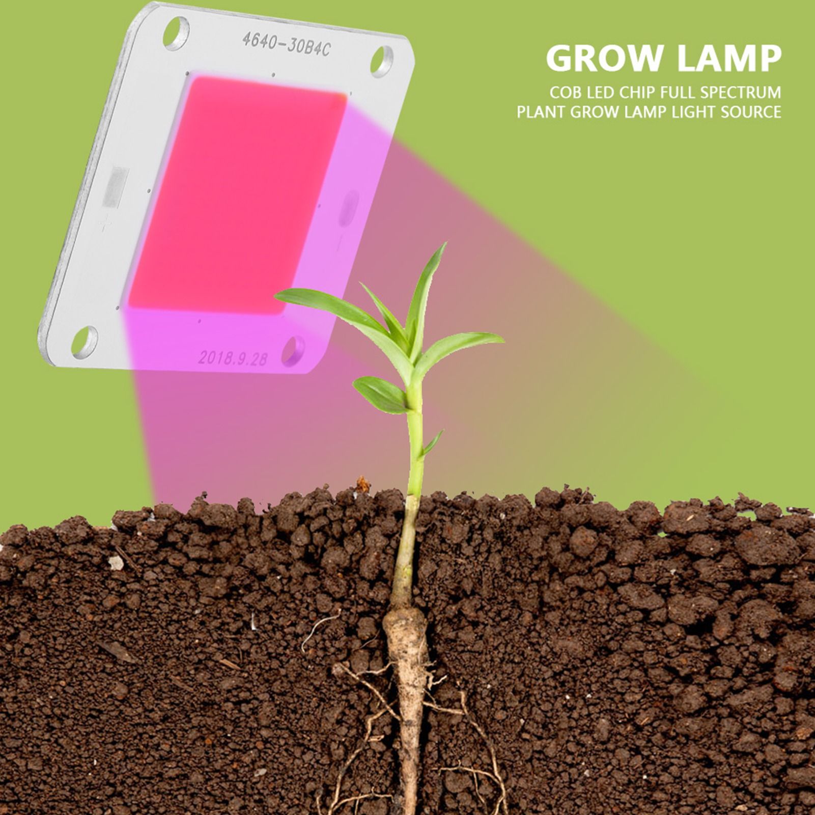 DC12V 50W COB LED Chip Full Spectrum Plant Grow Lamp Light Source view 4