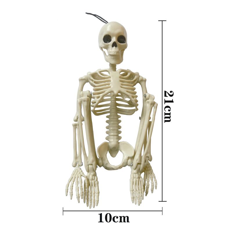Halloween Skull Skeleton Decoration Simulated Human Plastic Bones Haunted view 2