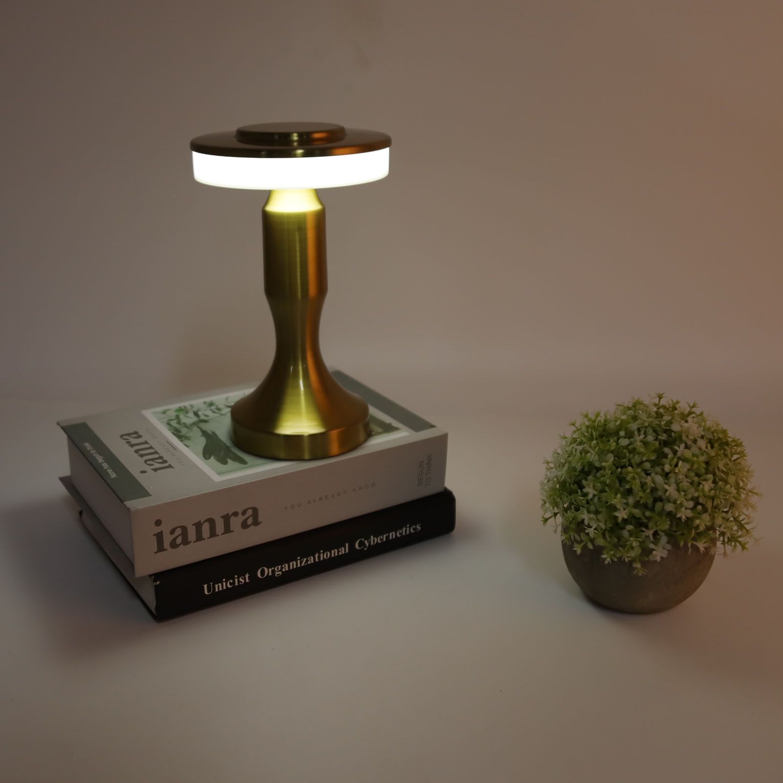 Portable LED Table Lamp Touch Sensor 3 Color Temperatures Rechargeable Battery view 10