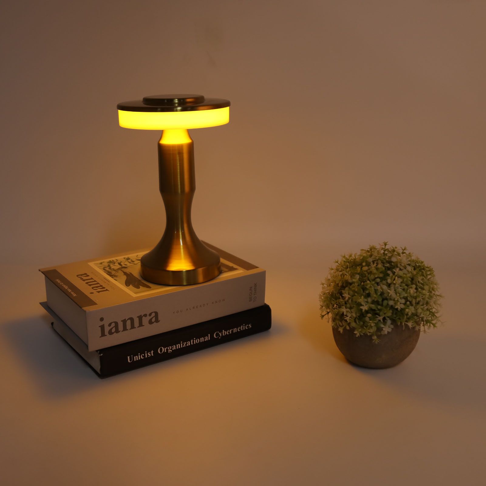 Portable LED Table Lamp Touch Sensor 3 Color Temperatures Rechargeable Battery view 11