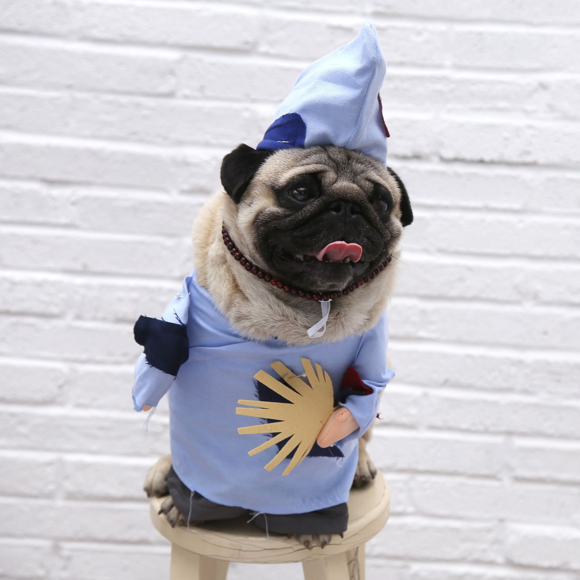 Pet Monk Costume Funny Jigong Standing Dress Polyester L view 2