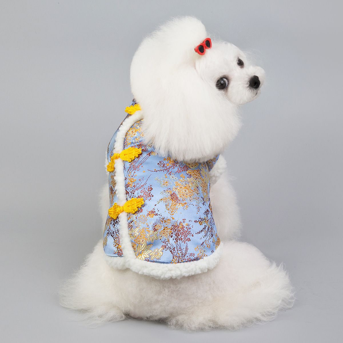 Dogbaby Pet Sweatshirt Cotton Casual Winter Blue