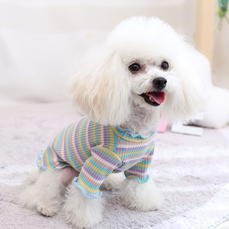 Cotton Knitted Pet Pullover Two Legs Clothes for Dogs Rainbow Strip view 4