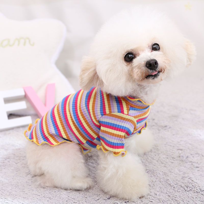 Cotton Knitted Pet Pullover Two Legs Clothes for Dogs Rainbow Strip M
