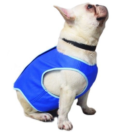 Pet Cooling Vest Summer Dog Cat M view 4