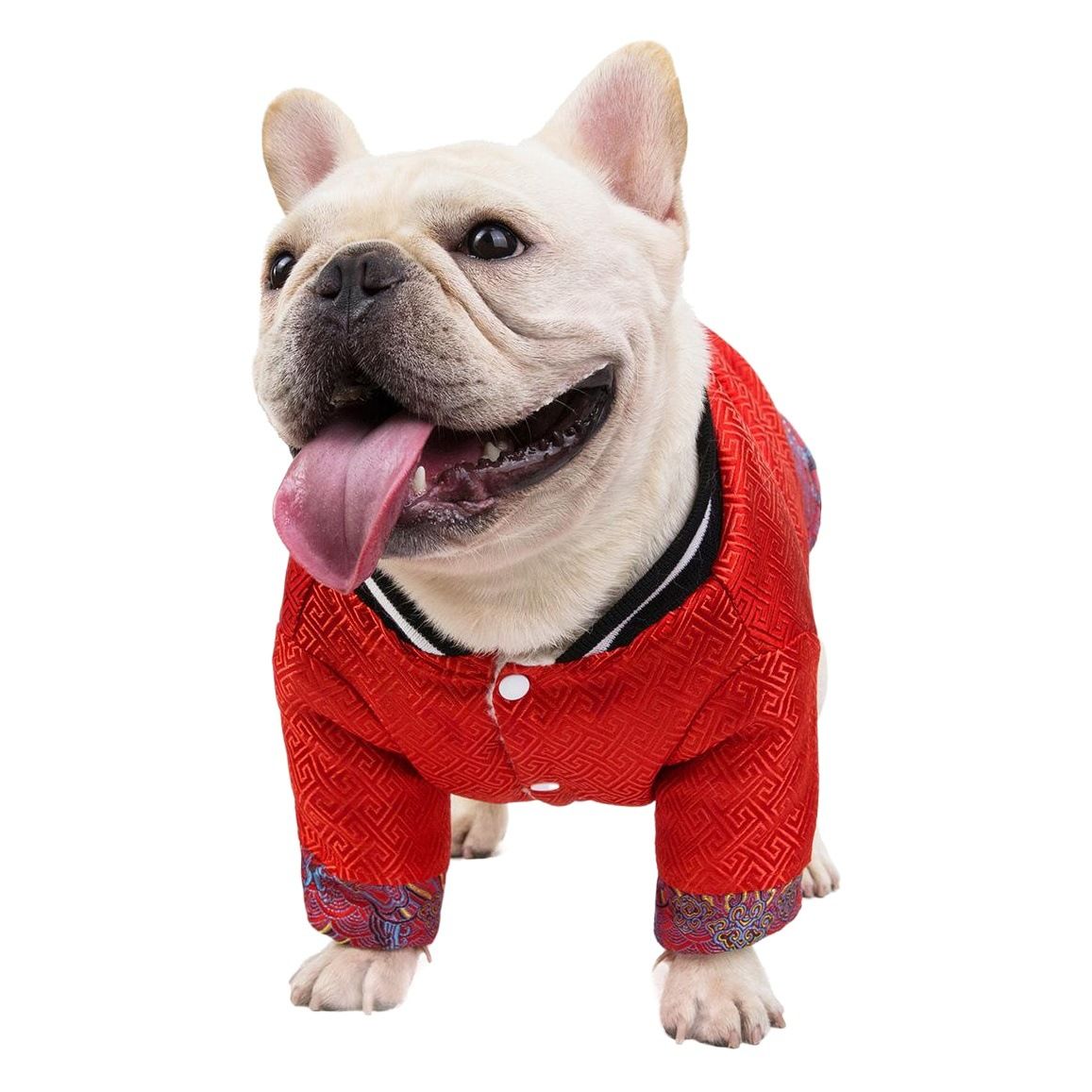 Bulldog Cotton Jacket Dogbaby Winter Pet Clothing Red XL view 2