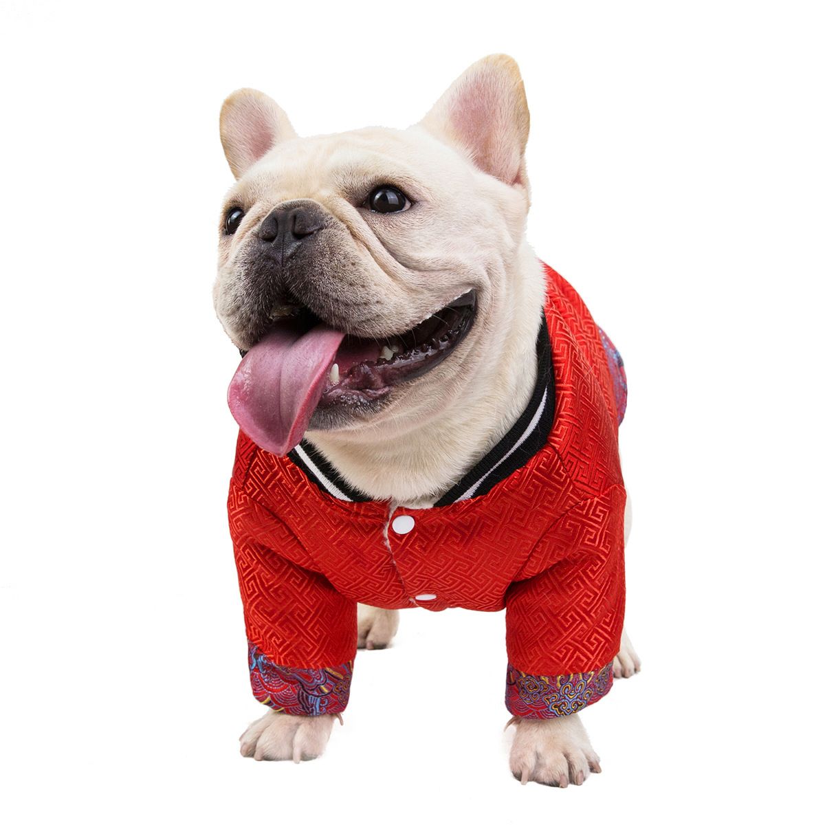 Bulldog Cotton Jacket Dogbaby Winter Pet Clothing Red XXL view 3