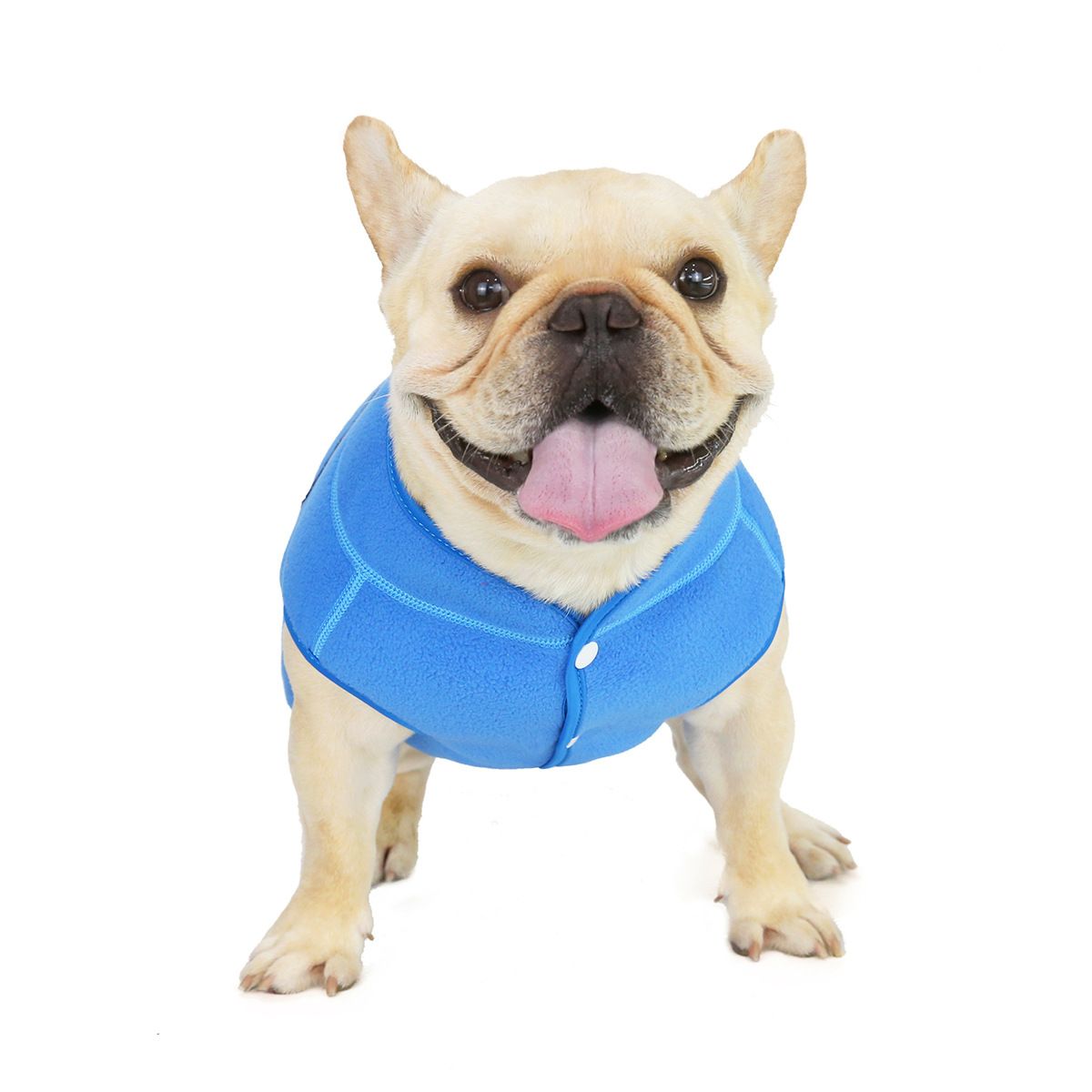 Dogbaby Bulldog Fleece Jacket Winter Polyester Blue S view 4