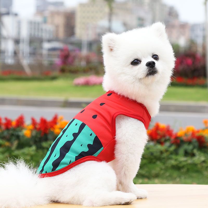 Mesh Pet Vest 3D Print Dog Cat Clothing Vest 3D Realistic Big Pineapple XL view 5