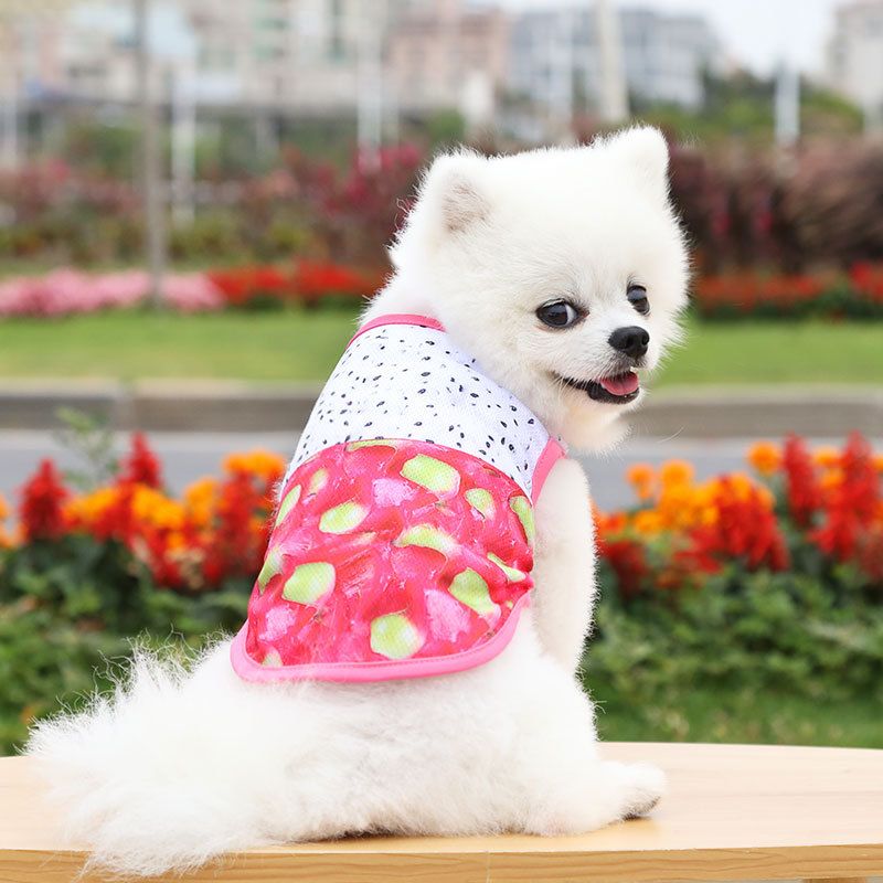 Mesh Pet Vest 3D Print Dog Cat Clothing Vest 3D Realistic Big Pineapple XXL view 4