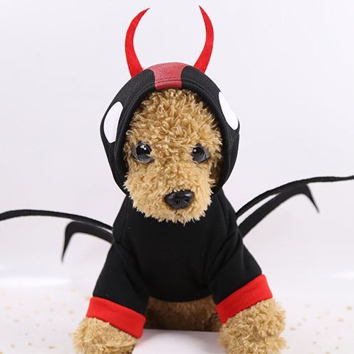 shine Pet Dog Cat Transformation Costume Cotton Hooded two-leg sweater (Red + view 4