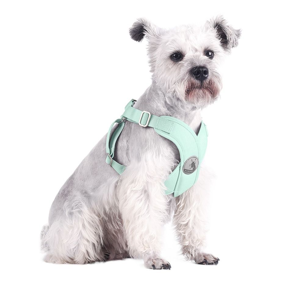 BORORO Pet Harness Cloth Vest Style Light Ice Blue XS view 2