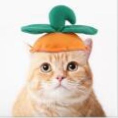 Halloween Dog Cat Hat Scarf Set Beautiful Pet Wool Felt Radish hat All yards — image 1