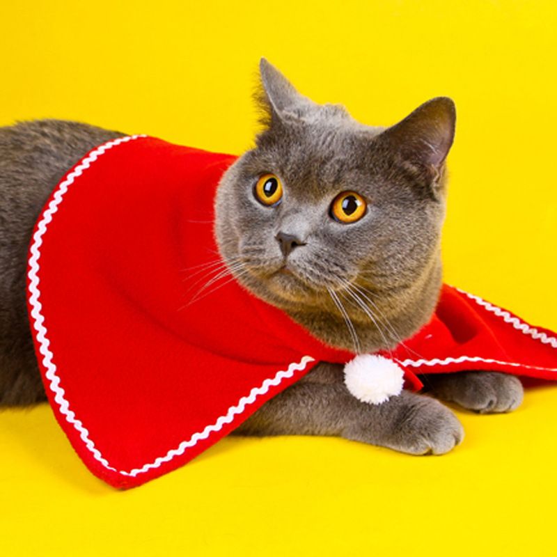 Pet Clothing Christmas Cloak Odd Pet Single scarf view 3