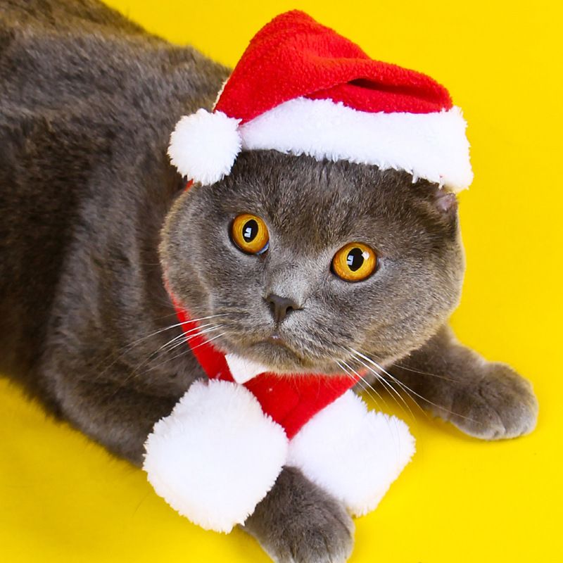 Pet Clothing Christmas Cloak Odd Pet Single scarf view 4