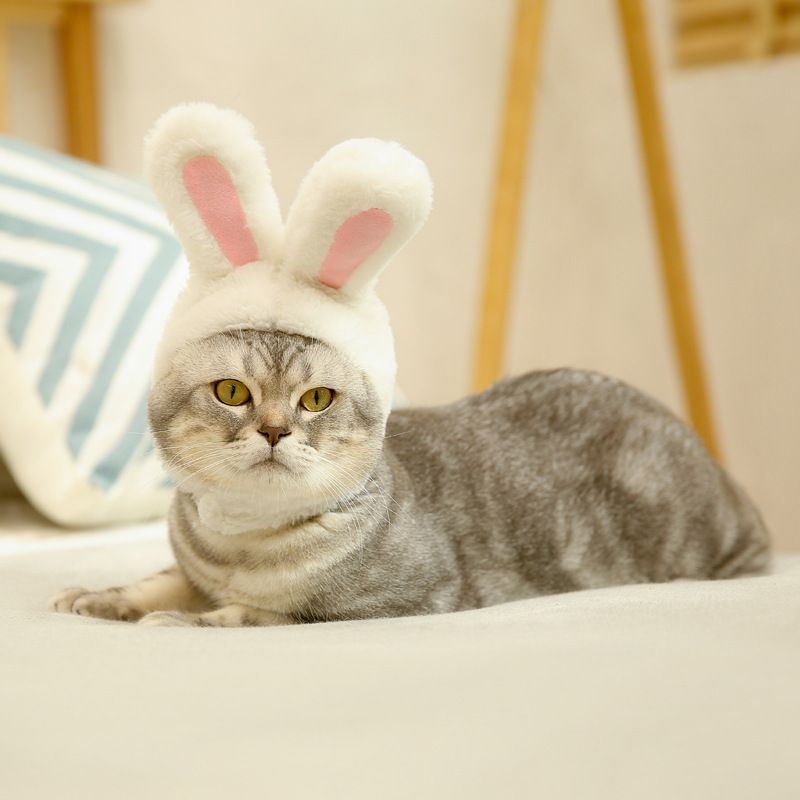 Pet Rabbit Ear Hat Huanya Polyester Cute Pet free size pink (size adjustable) view 3