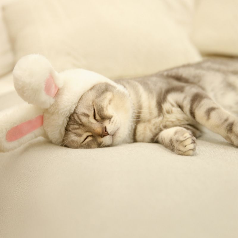 Pet Rabbit Ear Hat Huanya Polyester Cute Pet free size pink (size adjustable) view 4