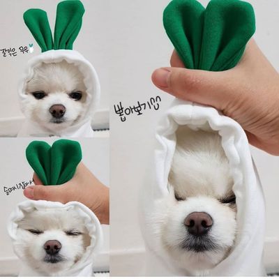 Pet Sweatshirt Beautiful Pet Polyester Fleece Autumn Radish view 4