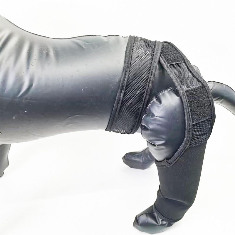 Dog Leg Brace Support Knee Pad Black view 6
