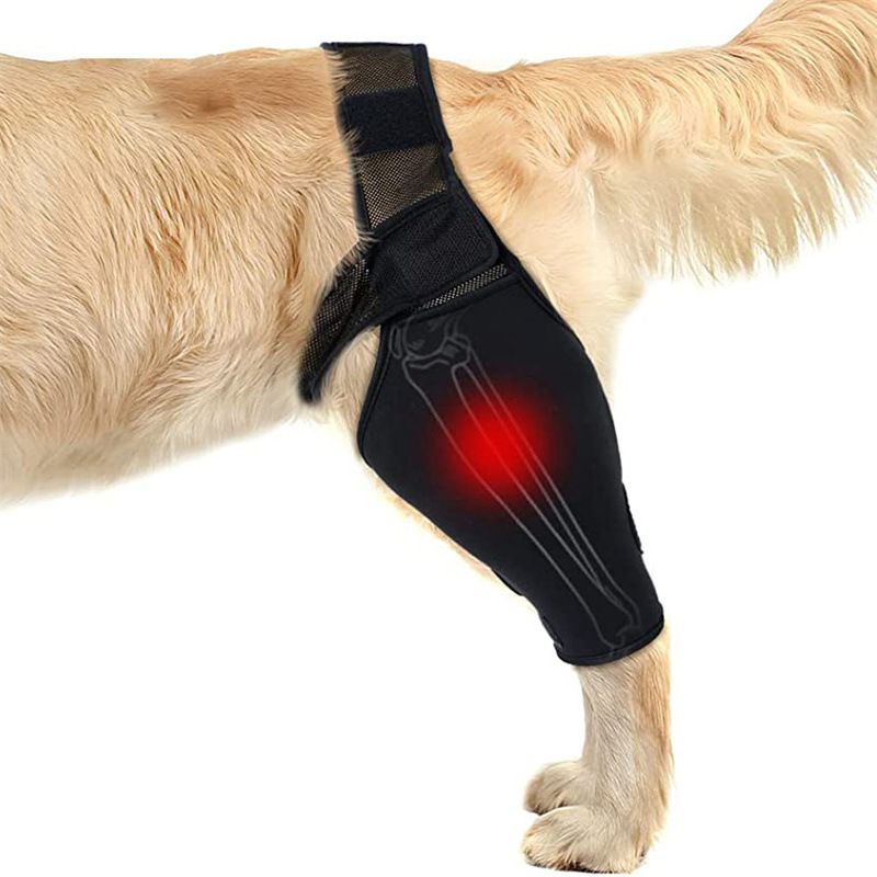 Dog Leg Brace Support Knee Pad Black XL — image 1