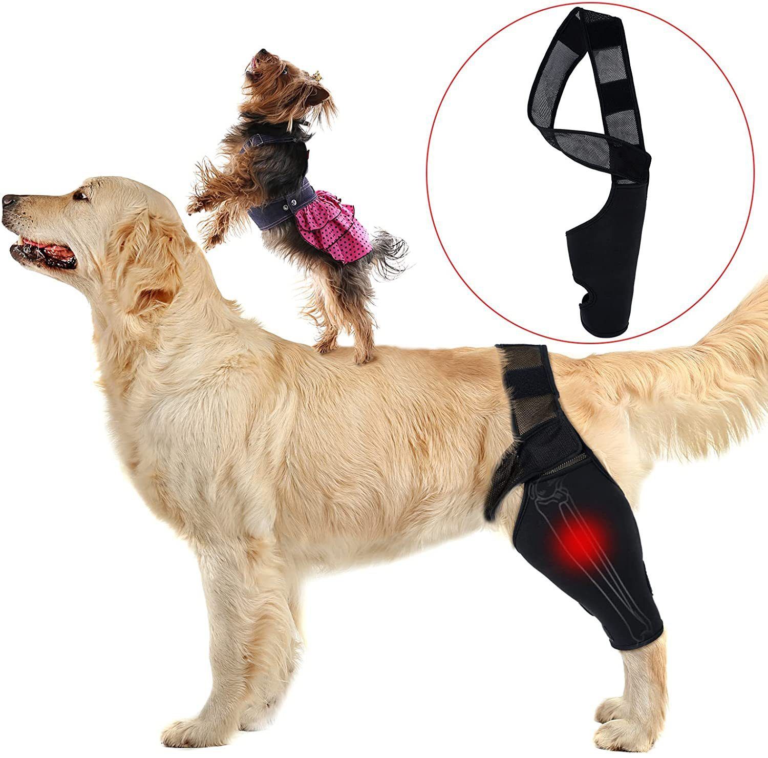Dog Leg Brace Support Knee Pad Black XL view 2