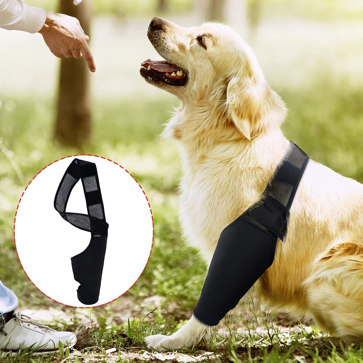 Dog Leg Brace Support Knee Pad Black XL view 4