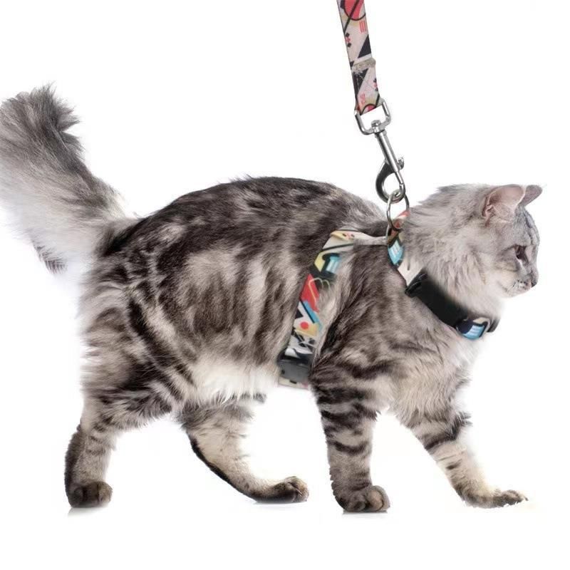 Adjustable Nylon Pet Harness Cat Dog Leash Blue S view 3