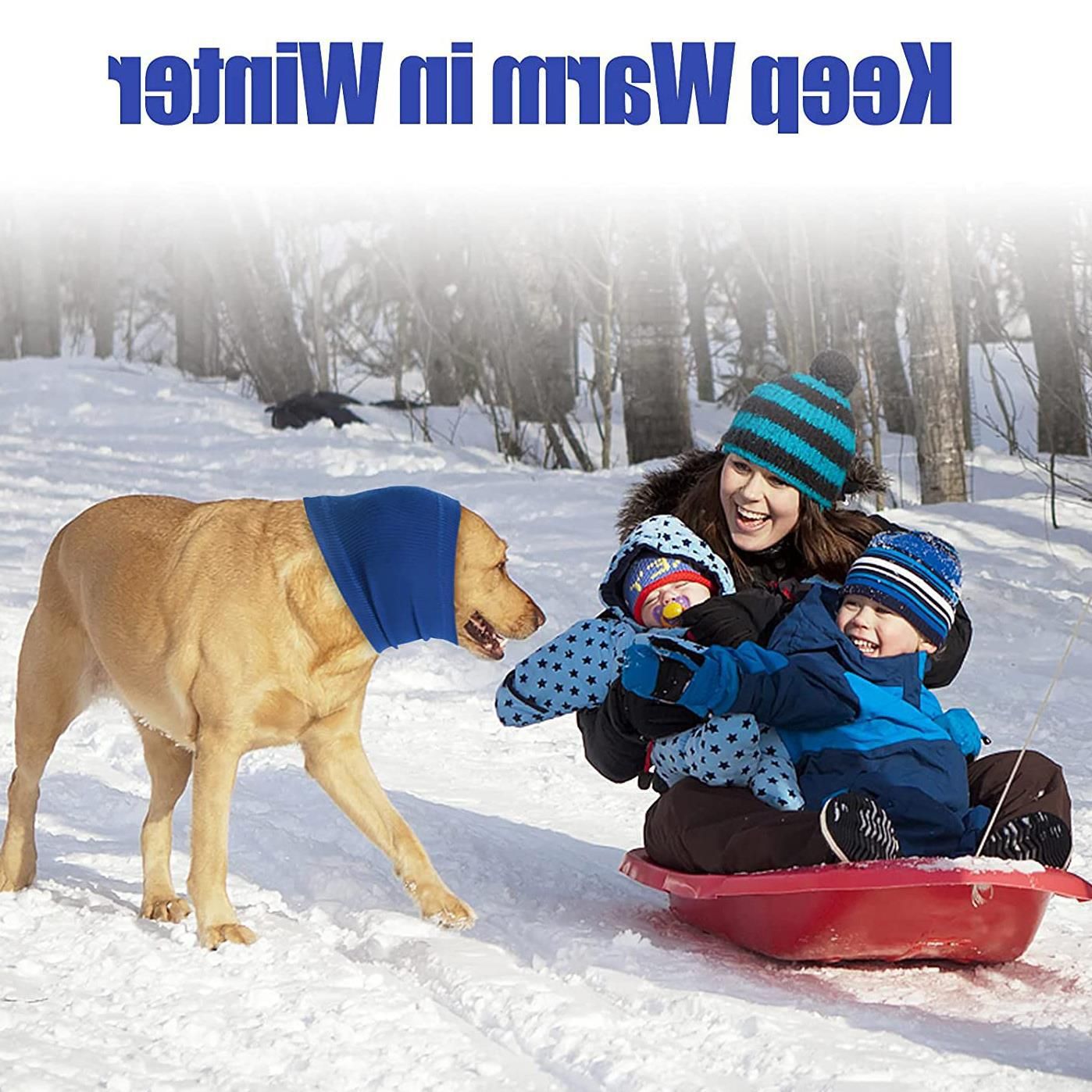 Pet Dog Ear Muffs Anti Noise Soft Winter Warm Blue Code L view 6
