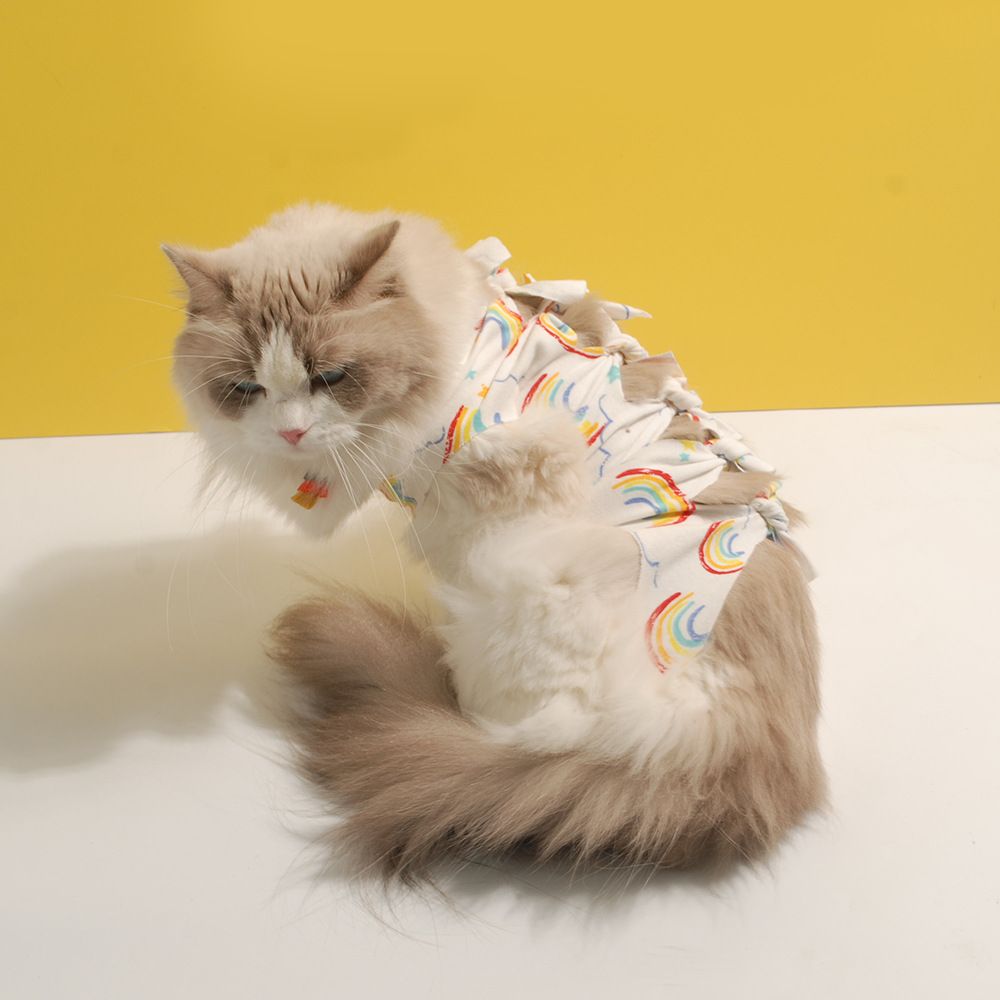 Cotton Cat Sterilization Recovery Clothing Bandage S. Rainbow M (3.00 kg-6.00 kg view 3