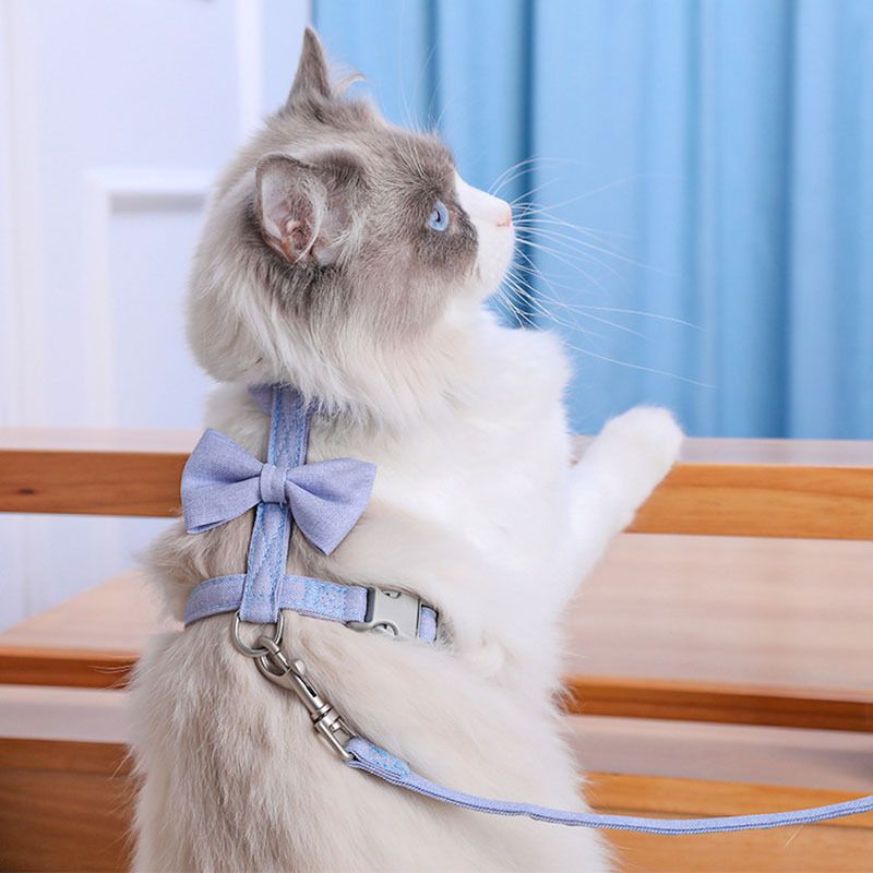 Cat Harness Polyester Bow Anti Escape Pet Leash Purple (Culomi) I-Back M view 3