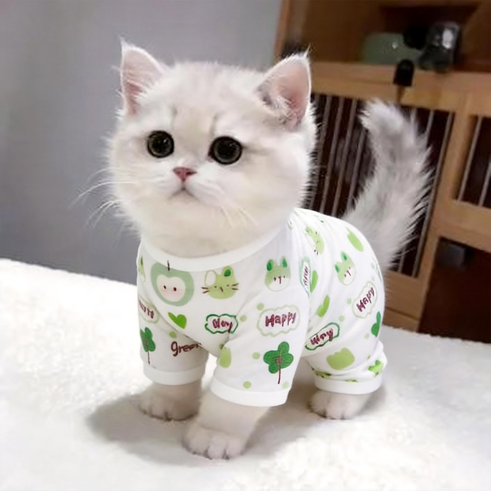 Cat Clothes Amoor Four Legged Polyester Avocado [four-legged clothing] M view 2