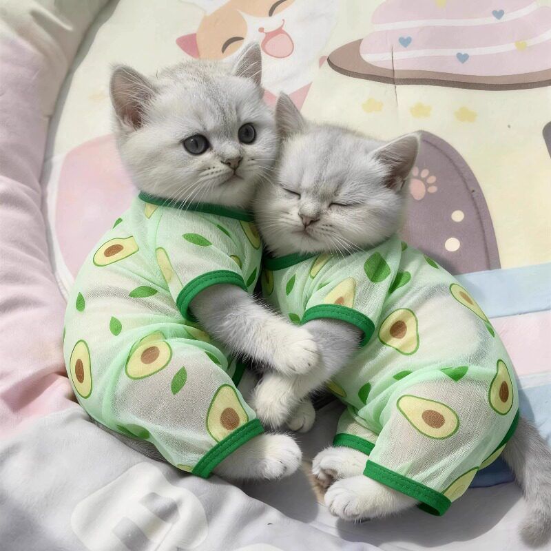 Cat Clothes Amoor Four Legged Polyester Yellow pineapple [four-legged coat] view 4
