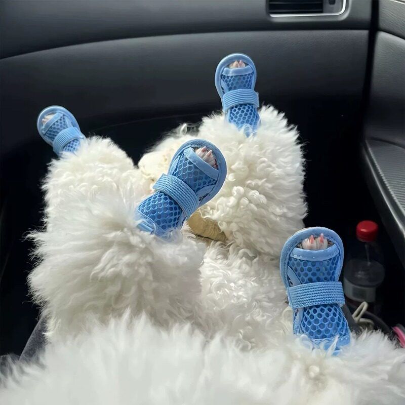 AMOOR Dog Shoes Breathable Mesh Tie Small Puppy Outdoor Blue 3# view 2