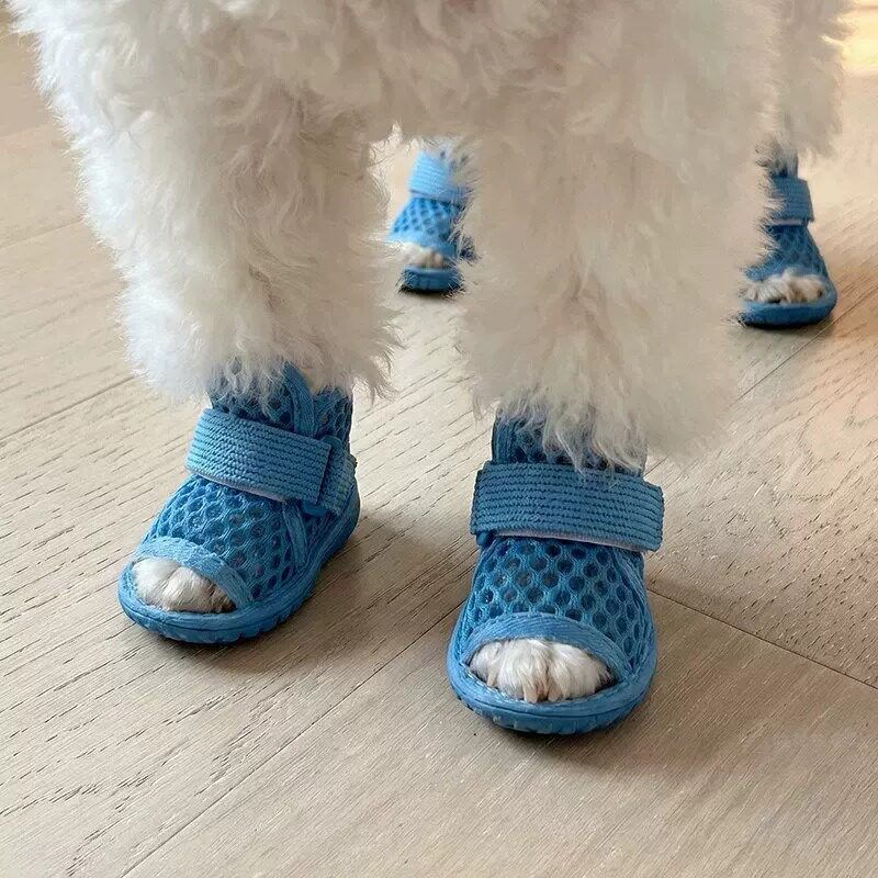 AMOOR Dog Shoes Breathable Mesh Tie Small Puppy Outdoor Blue 4# view 3