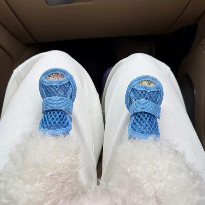 AMOOR Dog Shoes Breathable Mesh Tie Small Puppy Outdoor Blue 4# view 4
