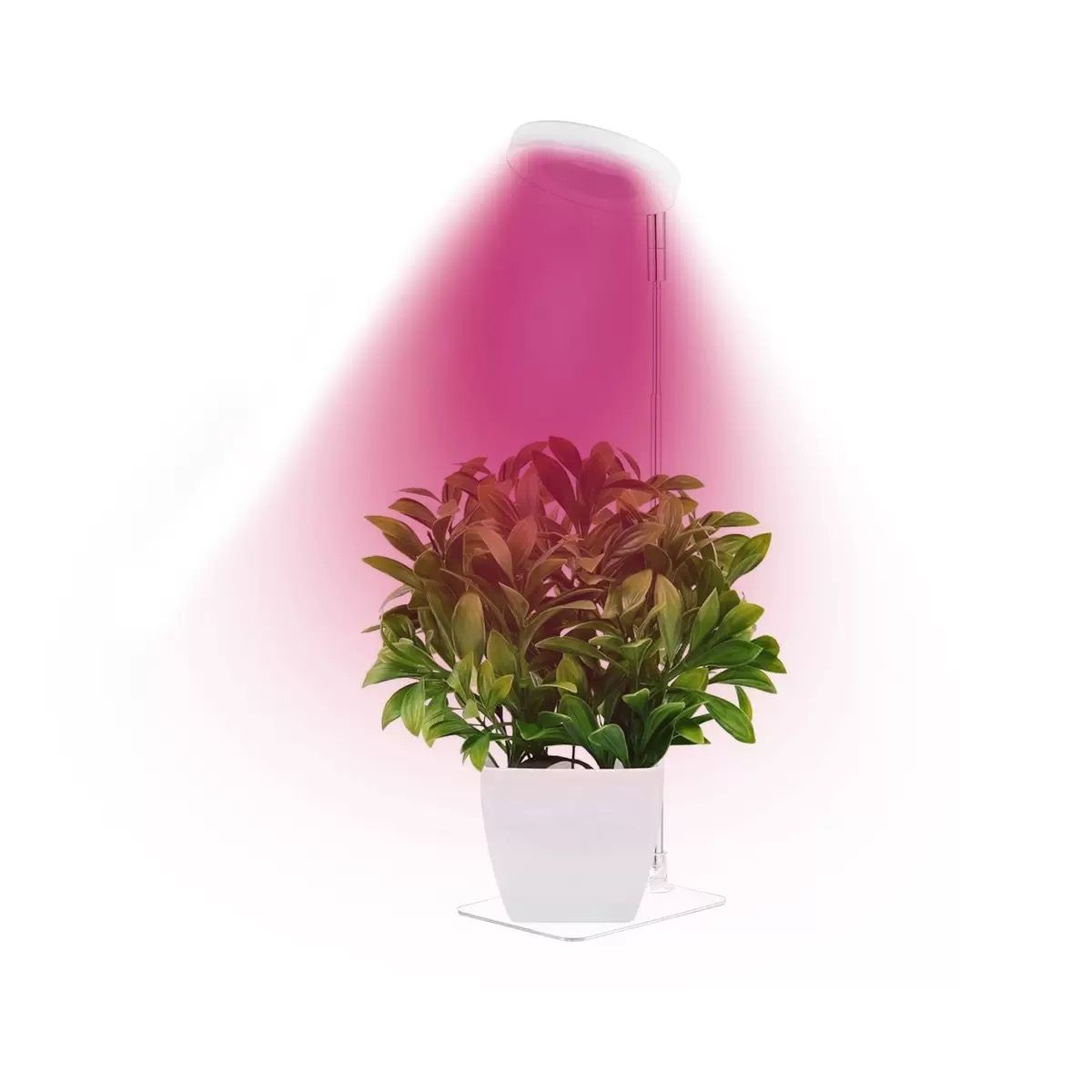 Full Spectrum LED Plant Grow Light with Telescopic Stand view 11