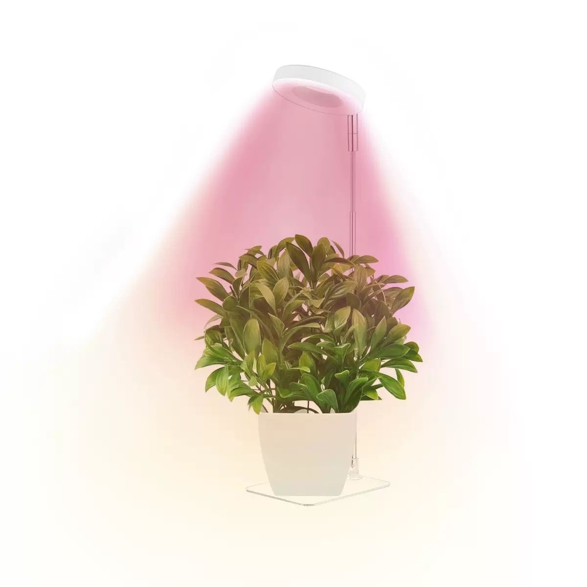 Full Spectrum LED Plant Grow Light with Telescopic Stand view 12