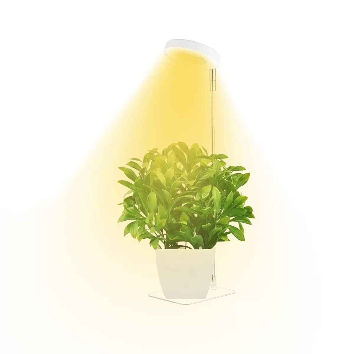 Full Spectrum LED Plant Grow Light with Telescopic Stand view 15