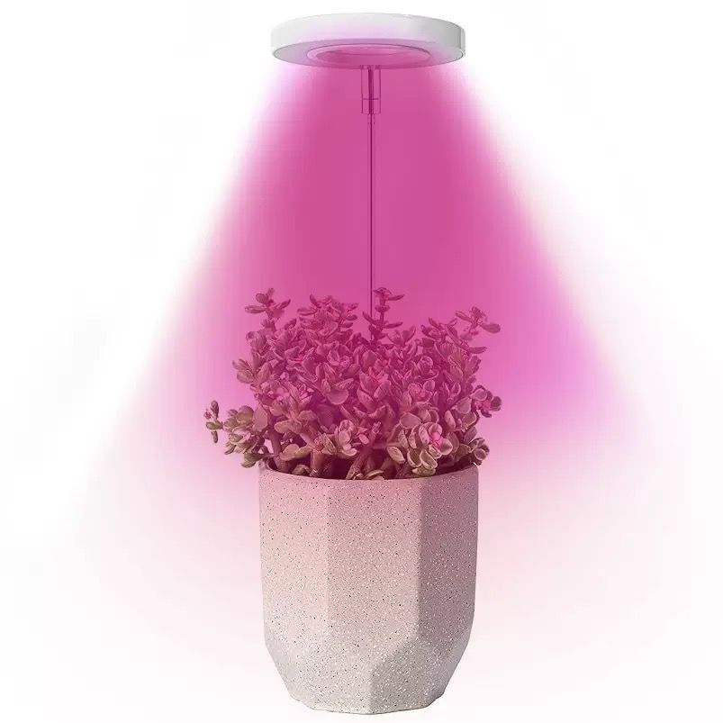 Angel Halo Ring LED Plant Grow Light view 12