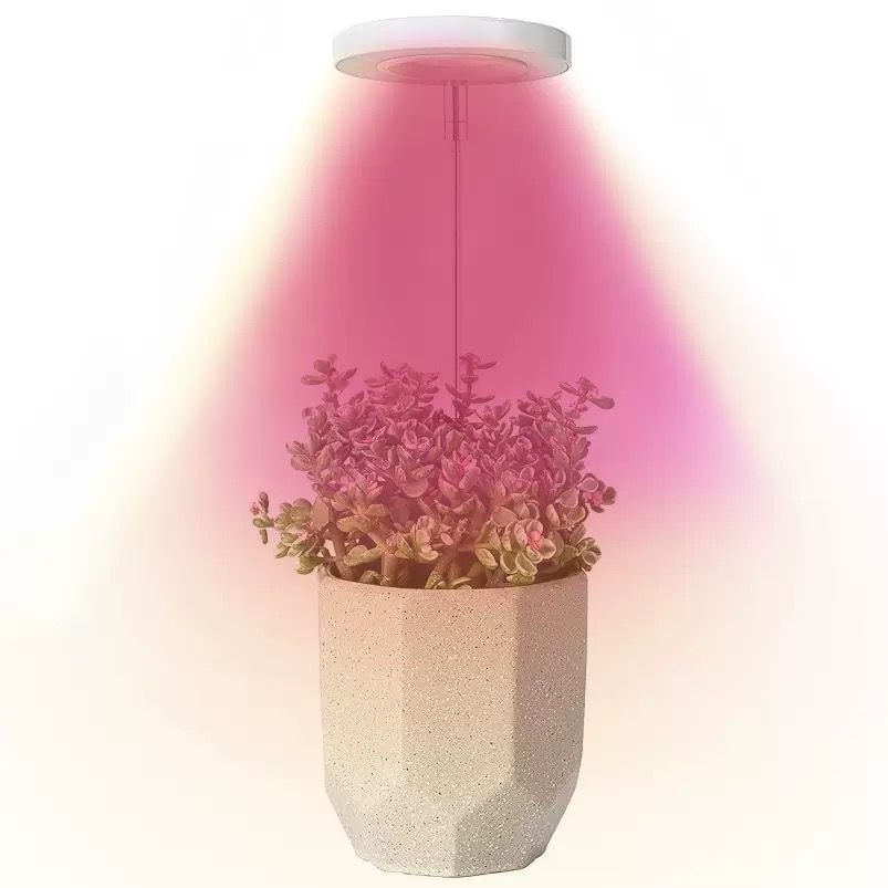 Angel Halo Ring LED Plant Grow Light view 14