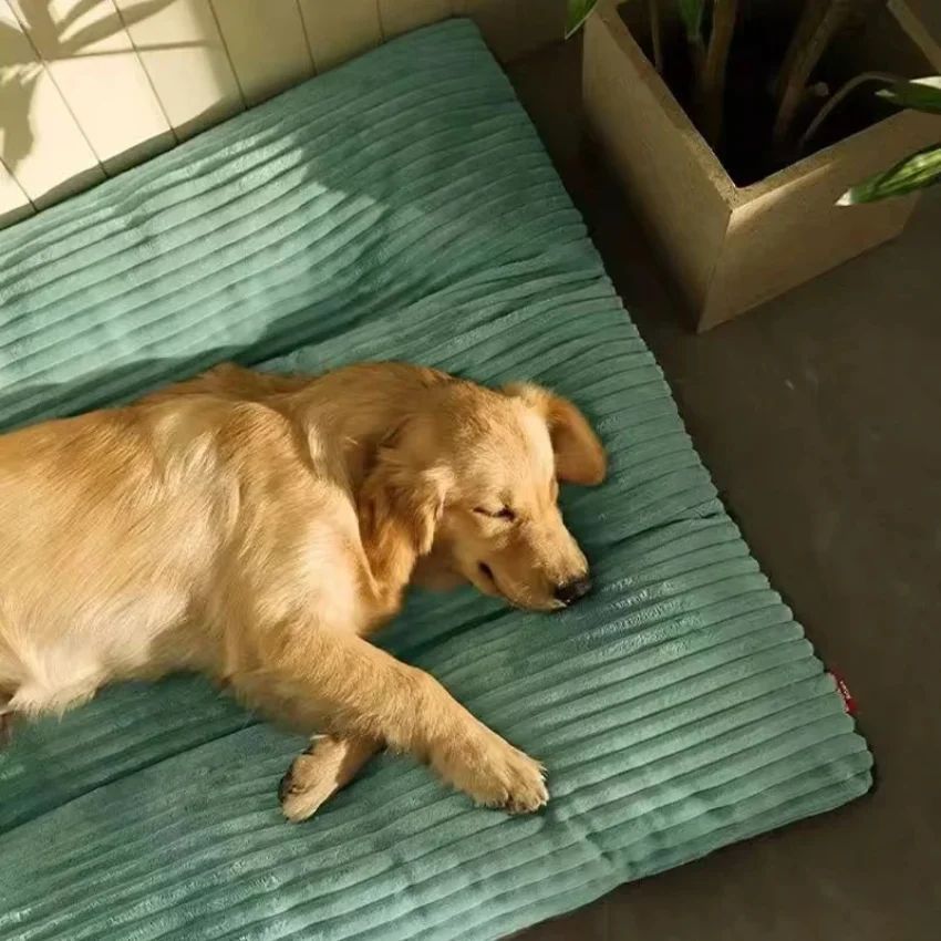 Luxuriously Soft and Thick Pet Sleeping Mat view 6