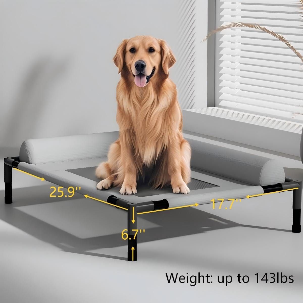 Elevated Pet Cot with Bolster Cushion view 5
