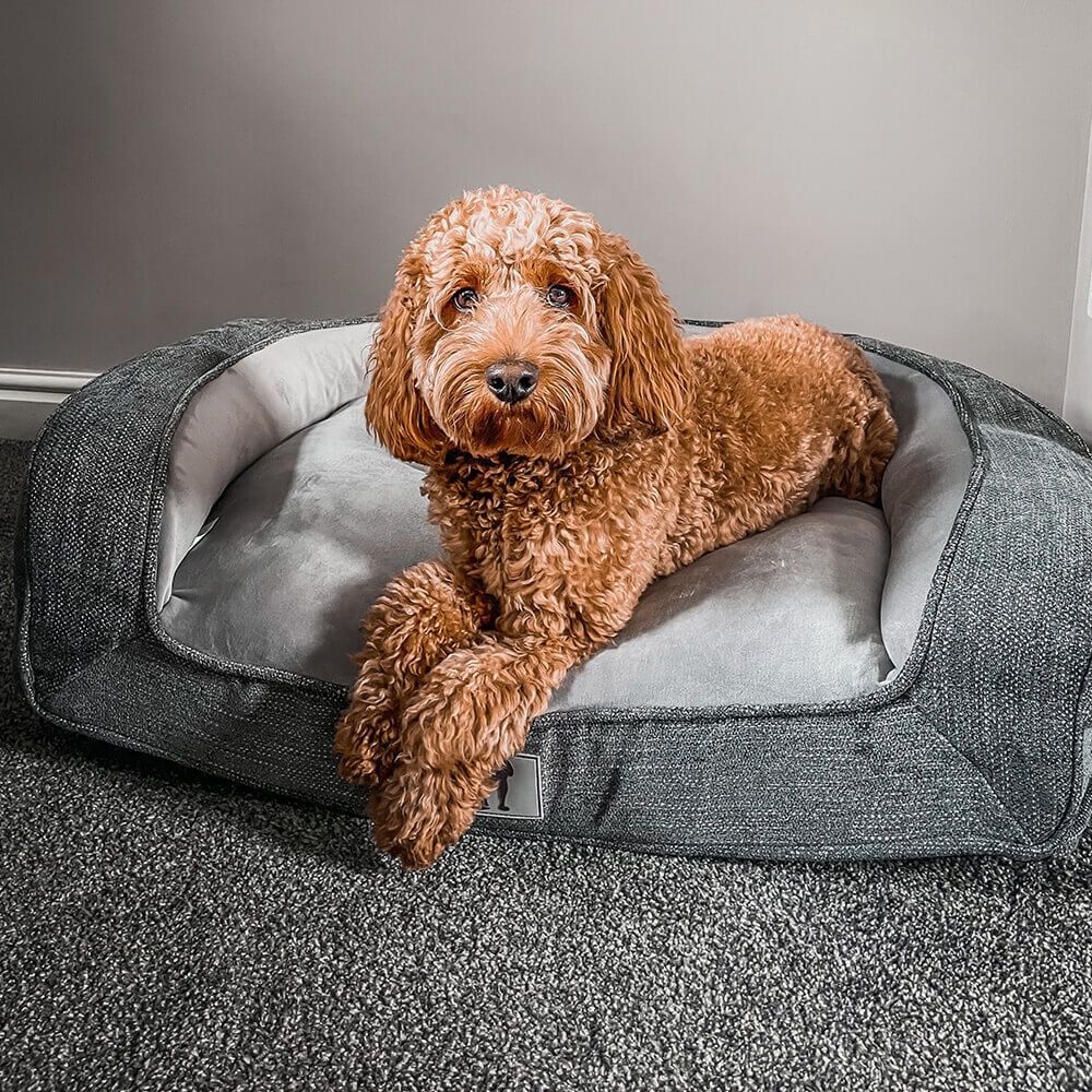 Plush Orthopedic Pet Sofa Bed with Bolstered Edges – Ultra-Soft Sponge Filled view 3