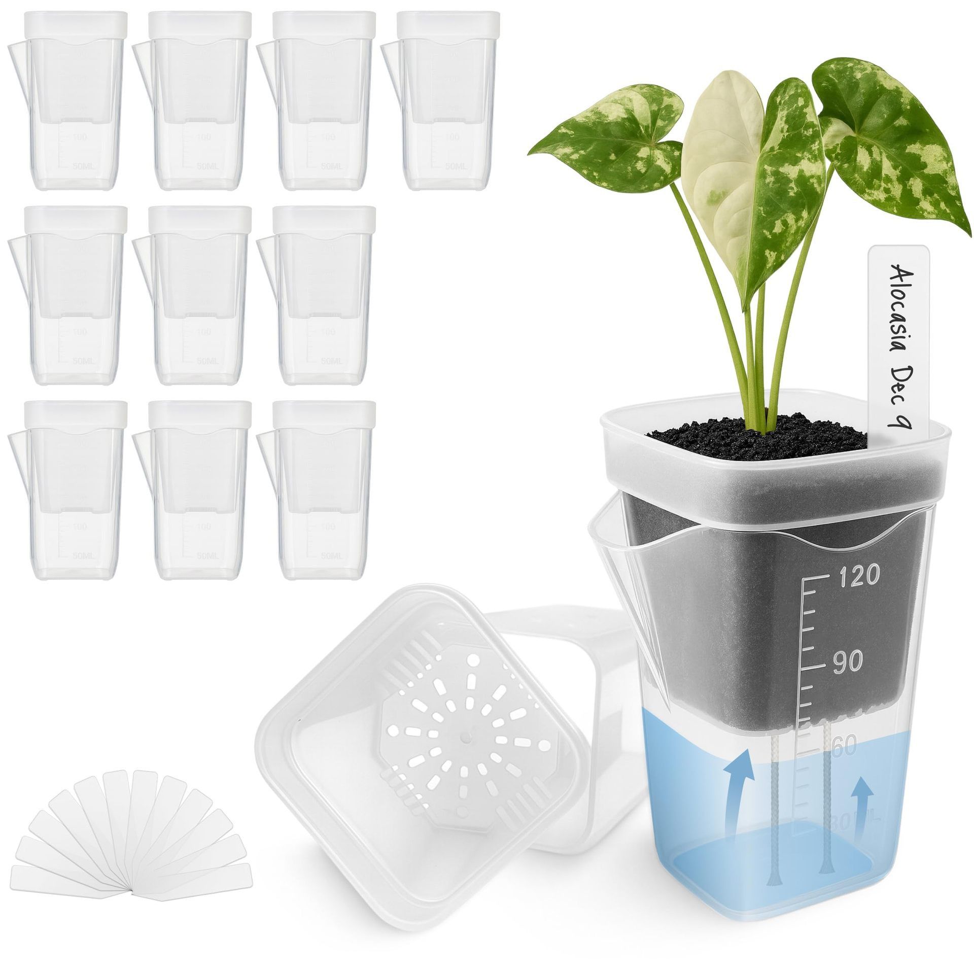 Self-Watering Double-Layer Square Planter Set for Effortless Plant Propagation