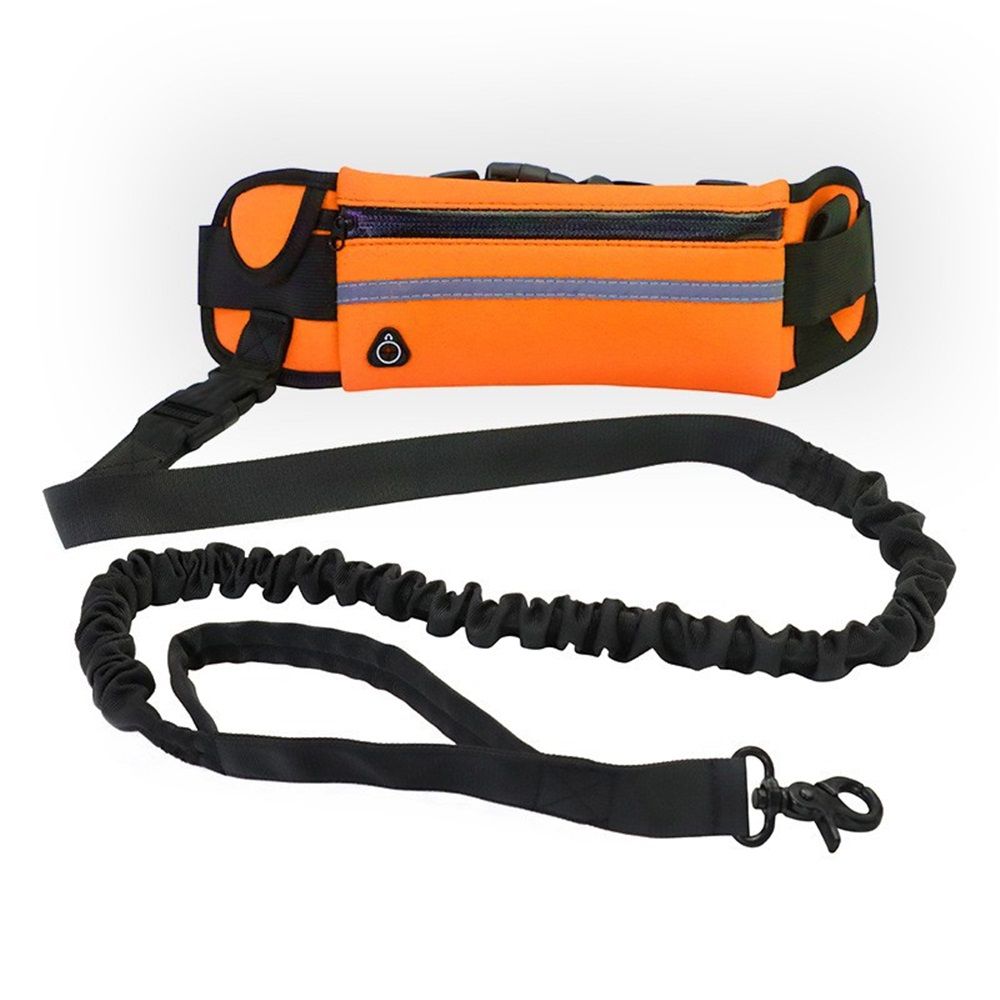Hands Free Dog Leash with Zipper Pouch — image 1