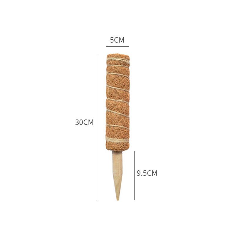Moss Pole for Plants Extendable Plant Sticks Support view 4
